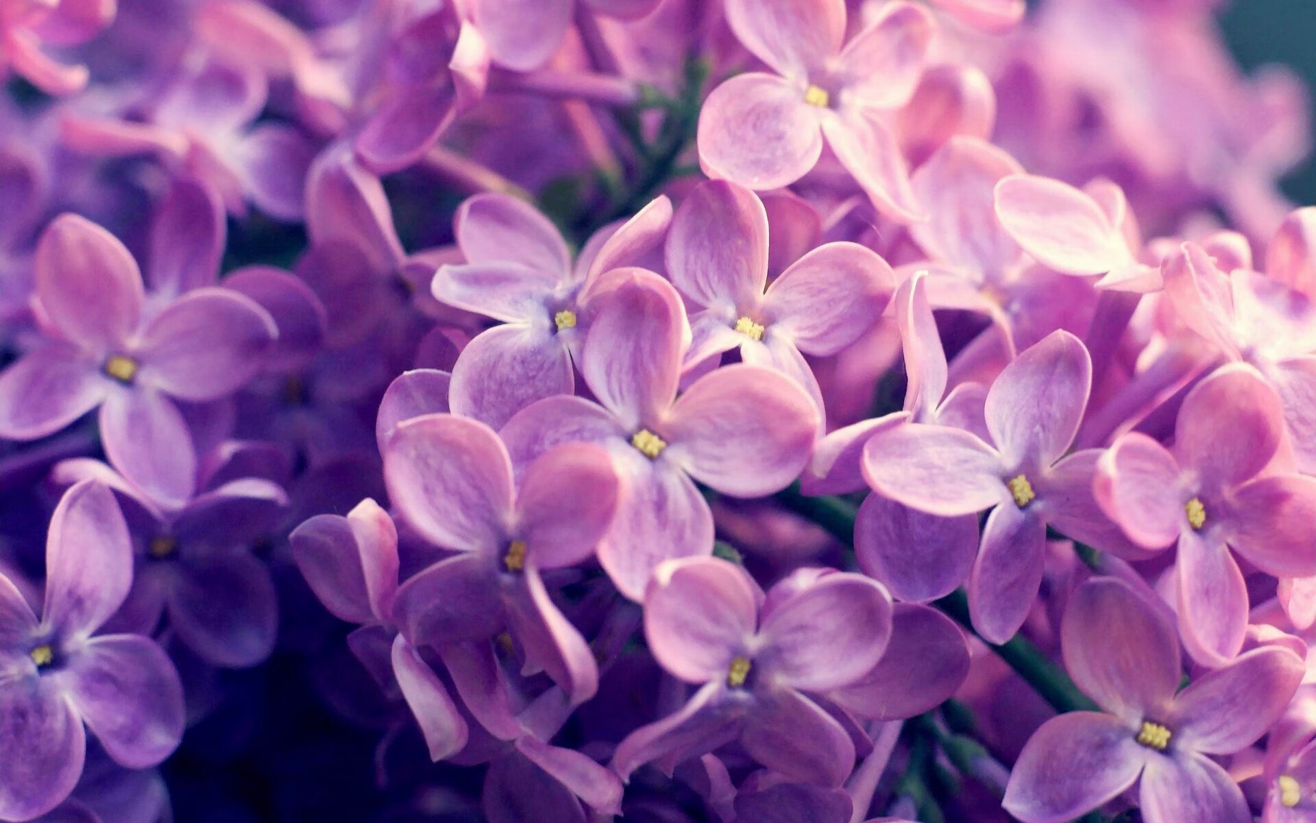 慢炖风暴，山西队用极致节奏掌控击退尼克斯，霍勒迪成为关键先生