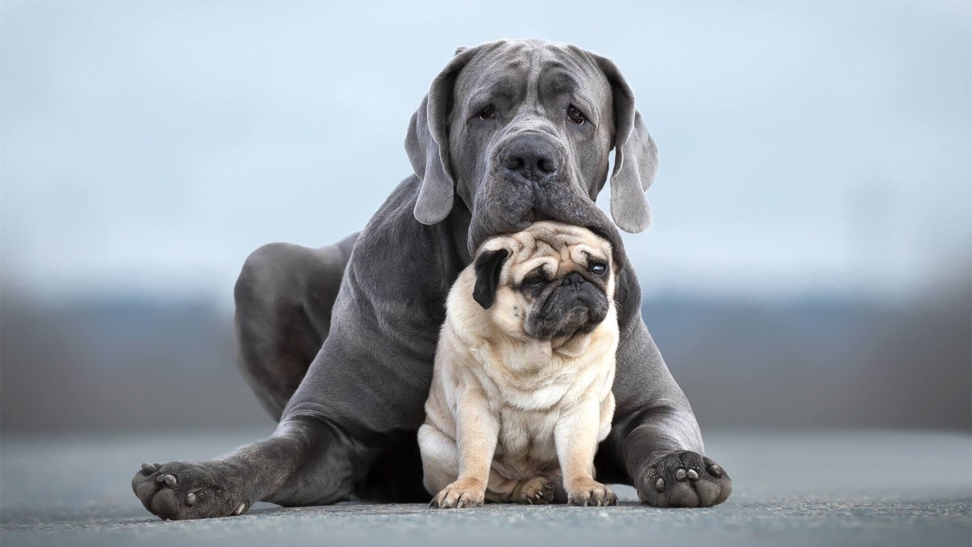 突厥弯刀刺破长城,哈弗茨一球定乾坤,土耳其决胜局带走中国