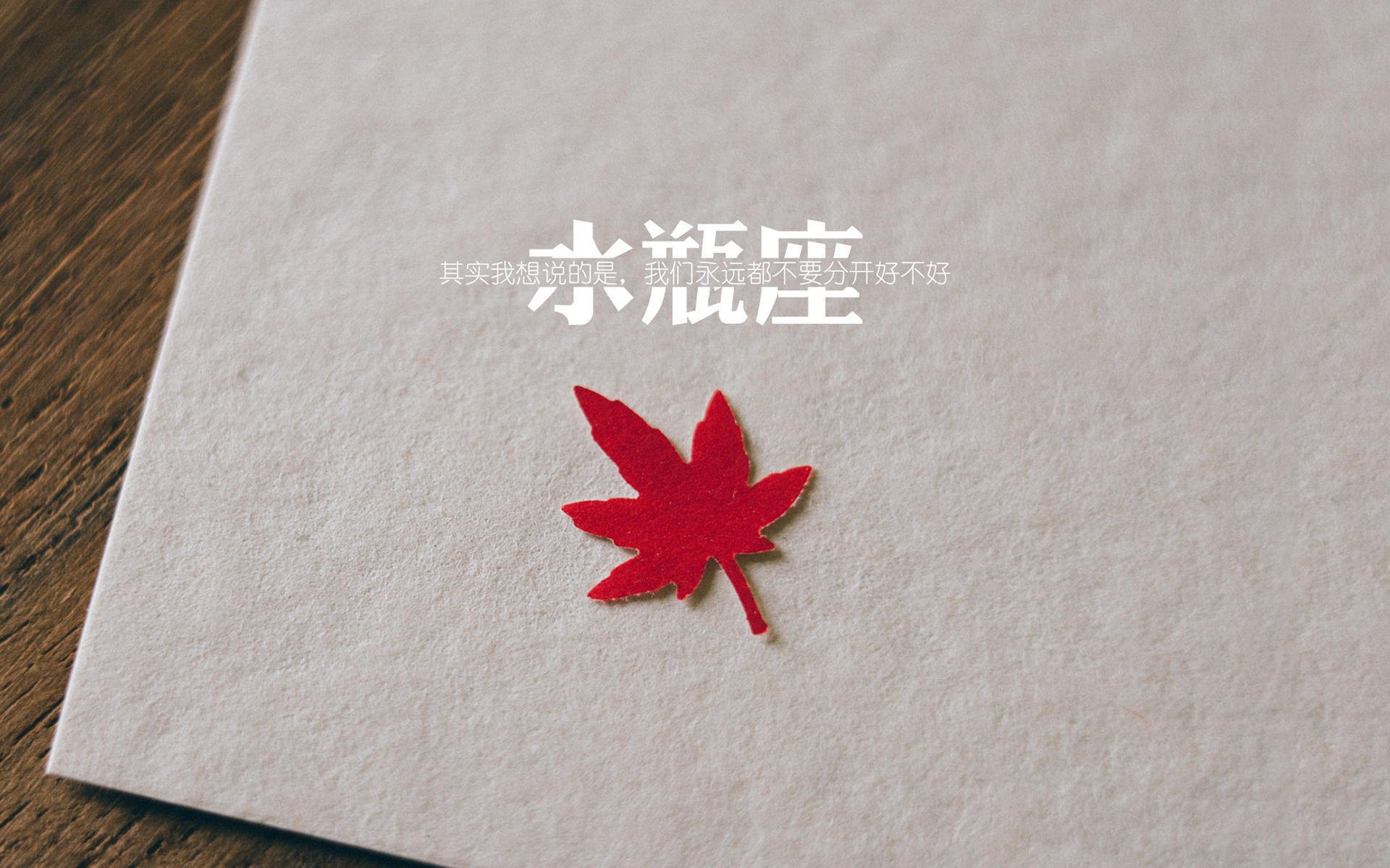 沙漠狙击战,福登禁区诡影,伊拉克决胜局带走阿根廷