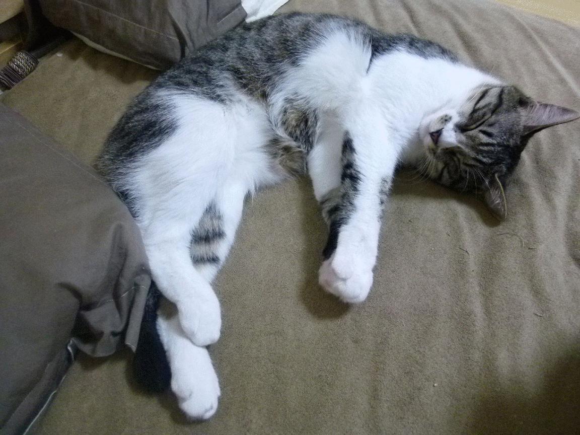 胜利的种子深埋于黑暗处，久保建英如何为乌克兰点燃争冠希望