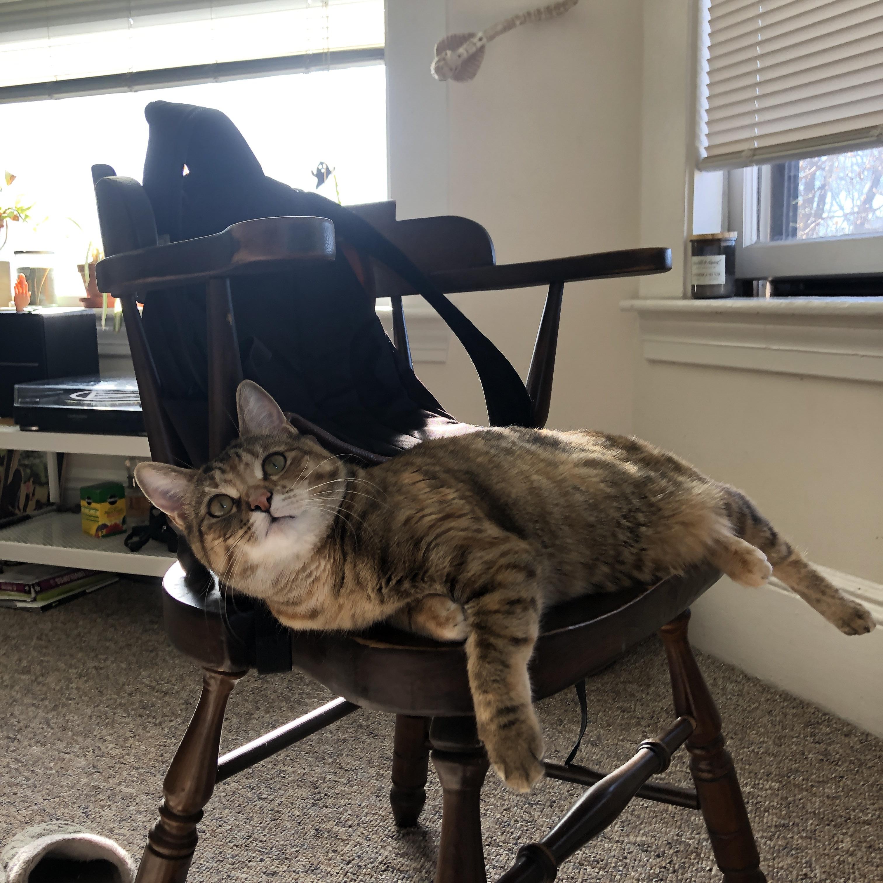 三旬老汉逆天改命！山西险胜上海，保罗关键一传诠释何谓老将价值