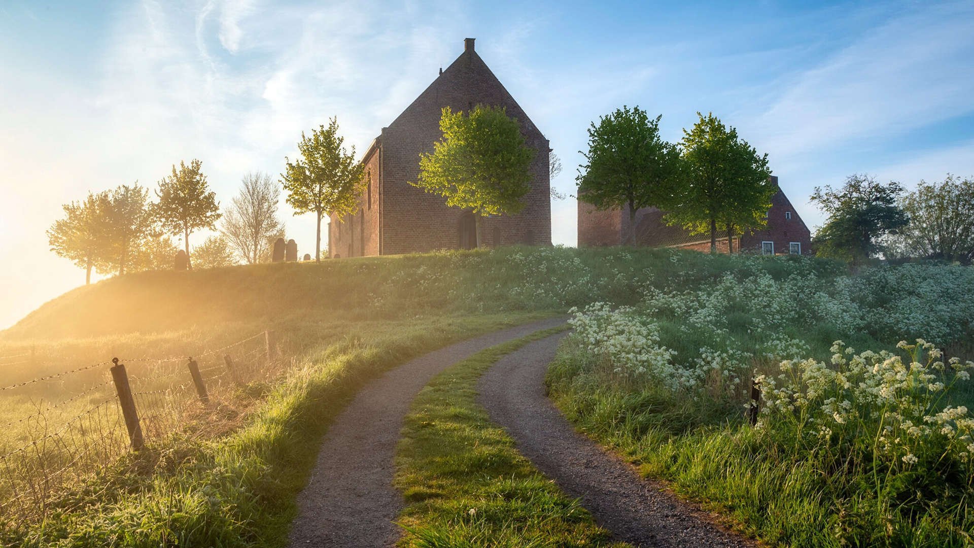 东方匕首，李刚仁如何用手术刀般的传球，在巅峰对决中剖开几内亚的铜墙铁壁