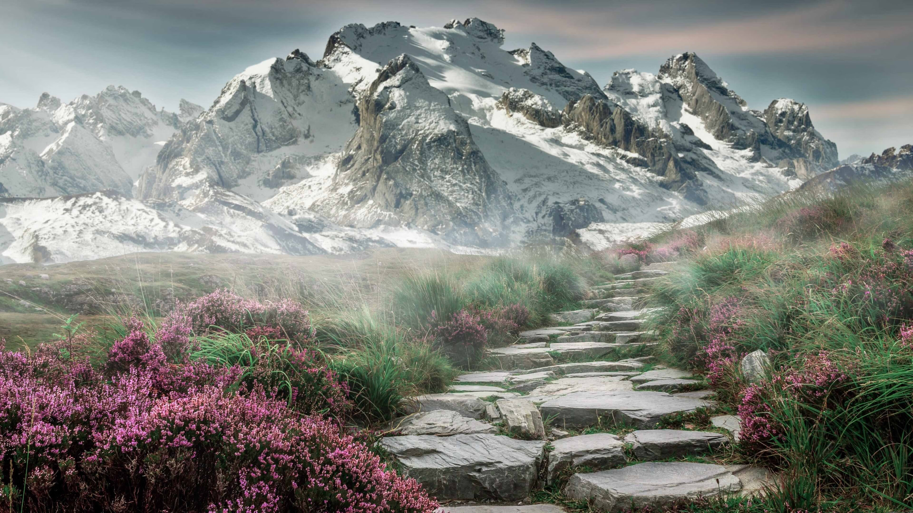 绿茵场与百年棋局，当德里赫特末节一剑，刺穿历史回响