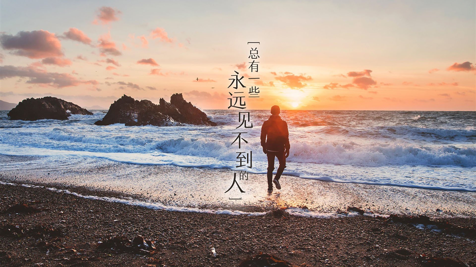 从奥兰多到多伦多，锡安用魔术拆解王权，在世界杯画布上泼洒天赋