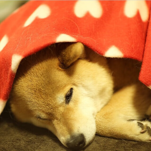 魔幻对决，加维岩浆喷发之夜，乌拉圭联队以历史回响压哨击穿那不勒斯一场被赋予了幽灵回声的比赛，90分钟的较量背后是百年足球之魂的碰撞与新生