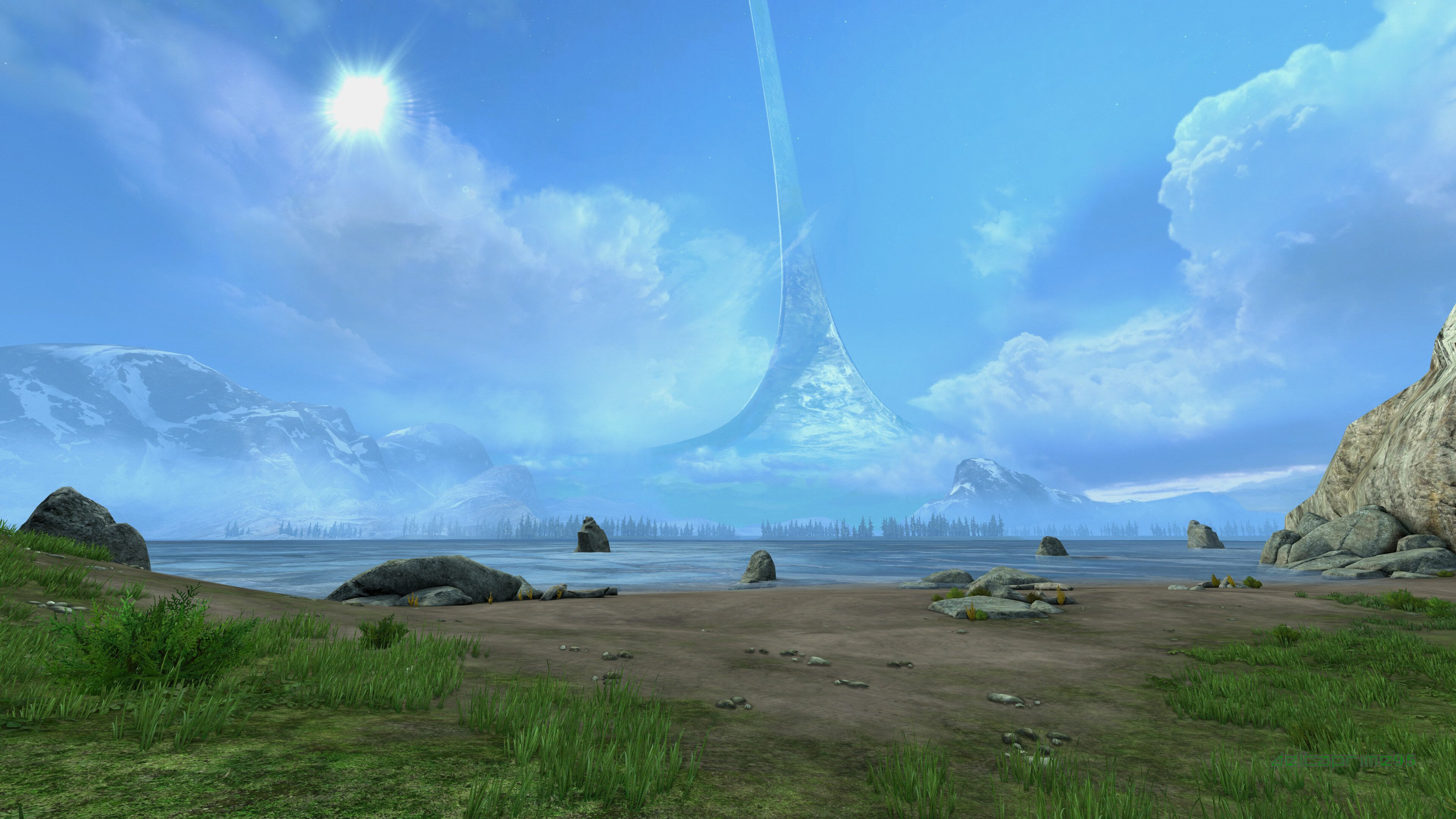 冰封华盛顿！草根英雄武切维奇为何成为奇才噩梦？