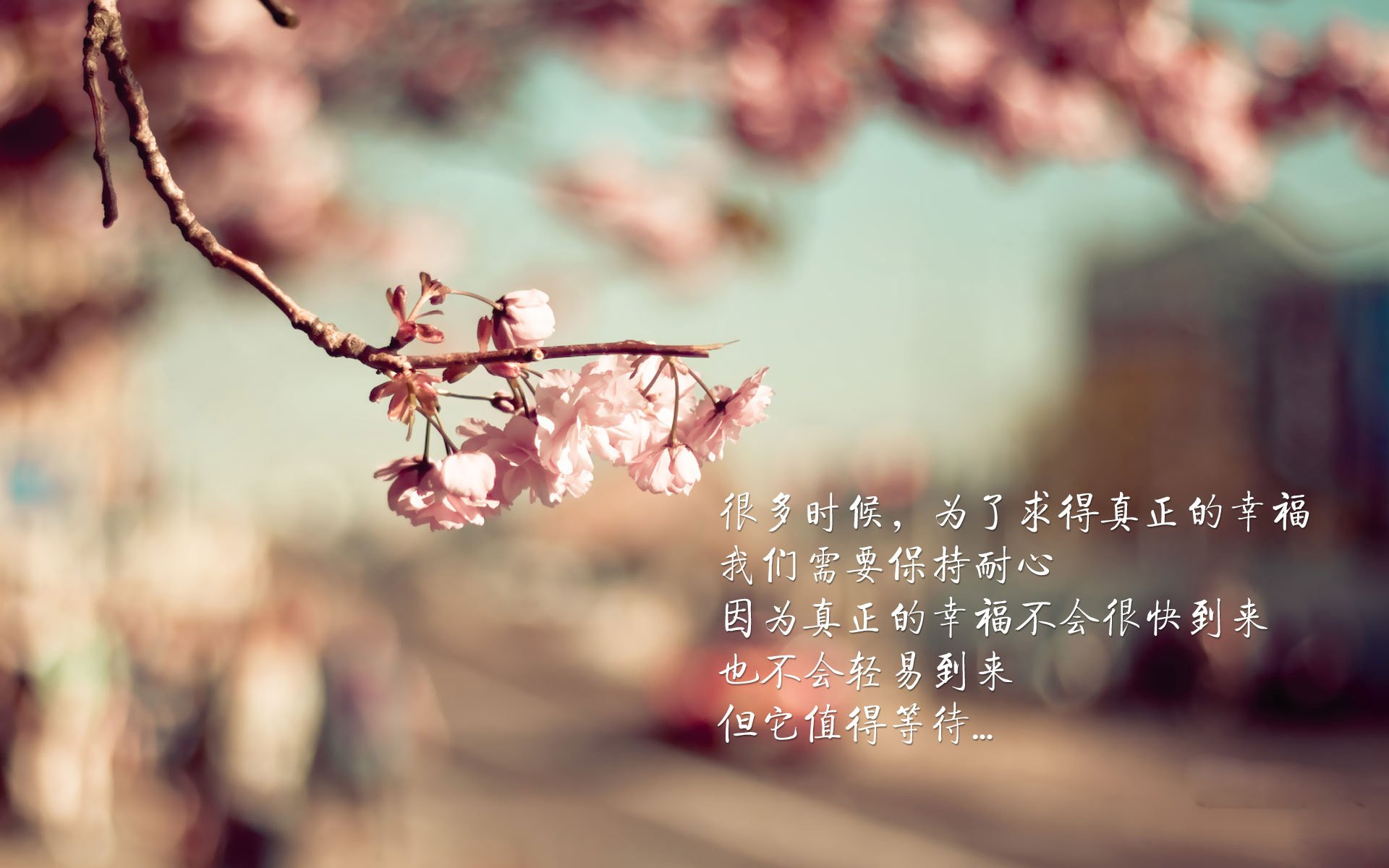 星际迷航，当浙江队闯入NBA总决赛之夜