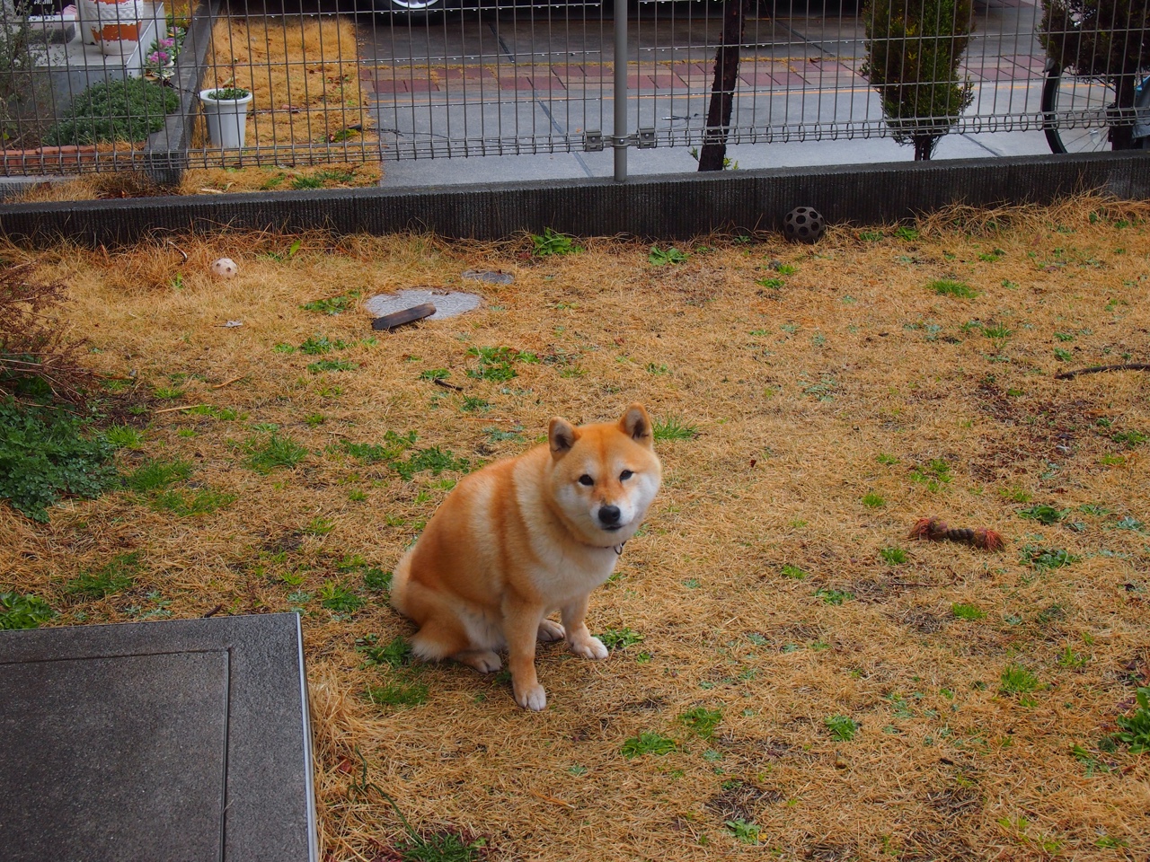 赛道人生，昨夜的双线焦点战，如何演绎极速与对抗的终极美学？