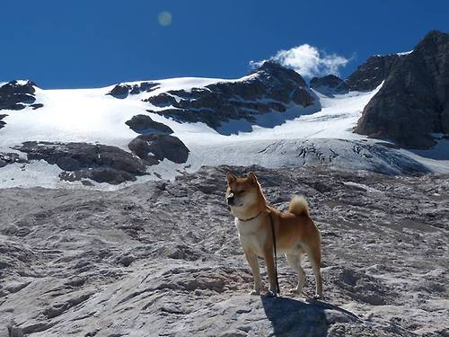 韩国旋风一击制胜，卡塞米罗数据封神—足球之夜的亚洲光芒与南美统治