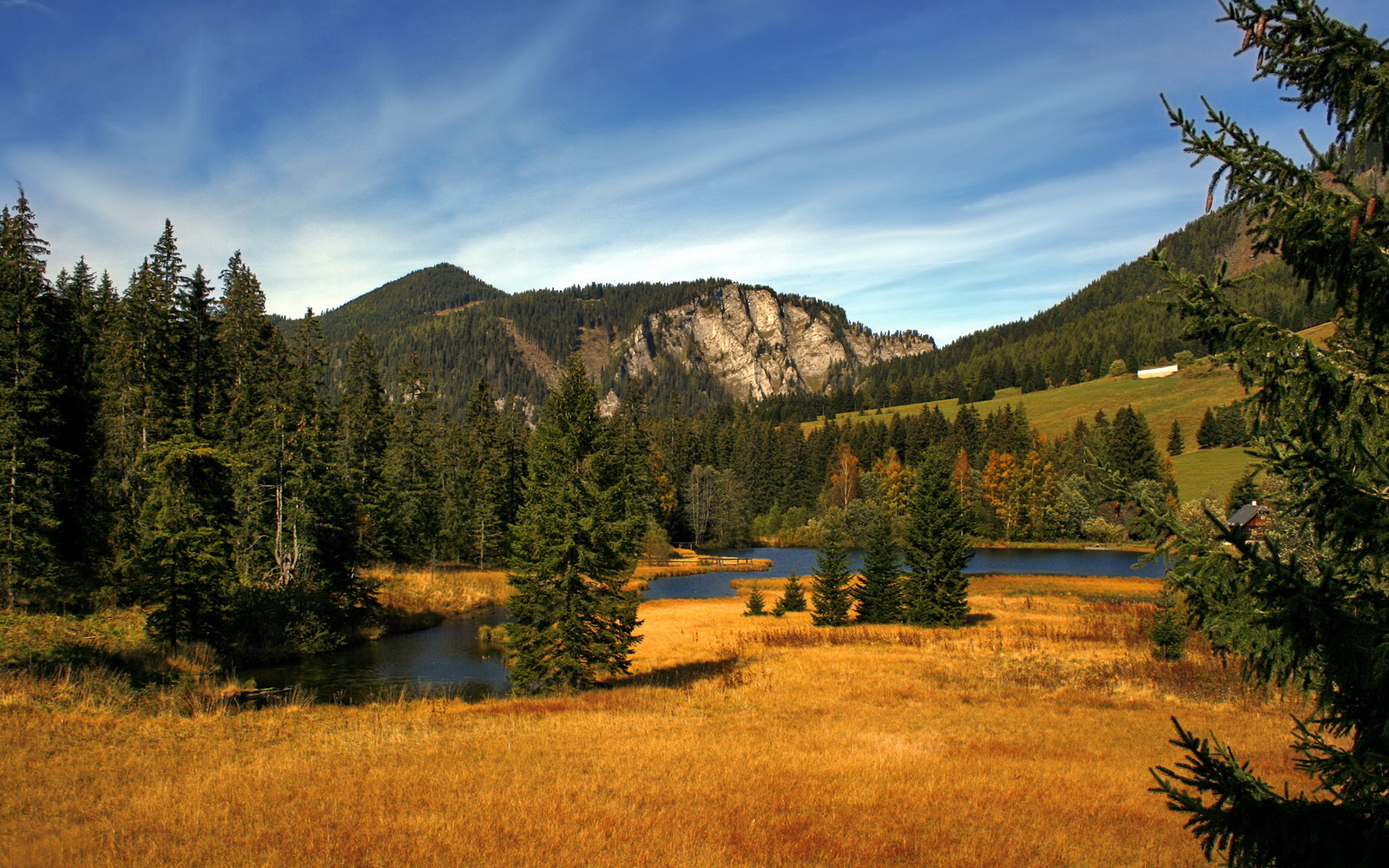 东决巅峰对决，亚特兰大最后时刻绝杀皇马，书写传奇之夜
