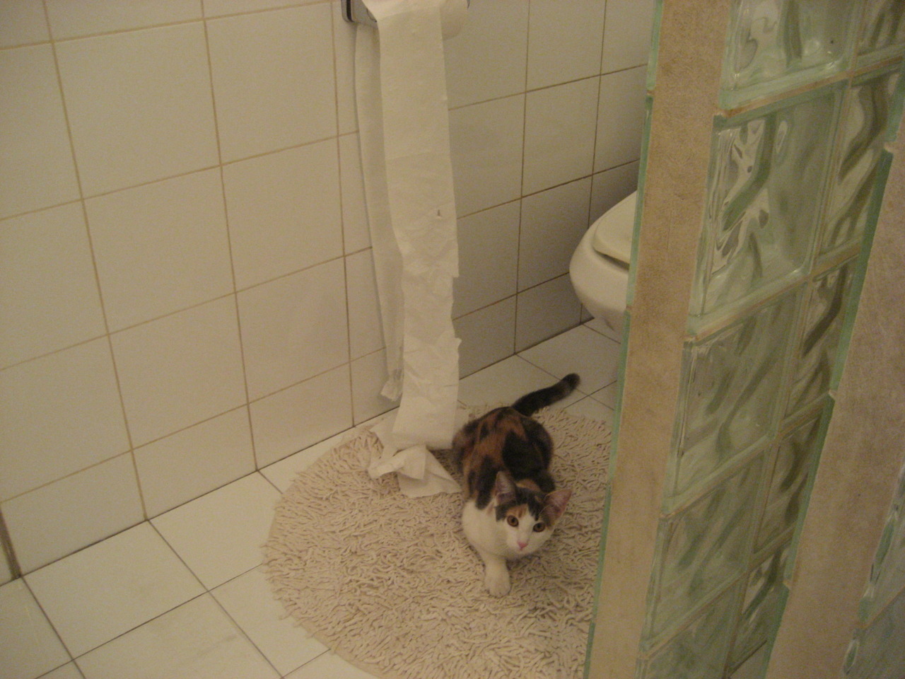 隐形锁链，国家德比之夜，加克波如何用沉默绞杀巨星