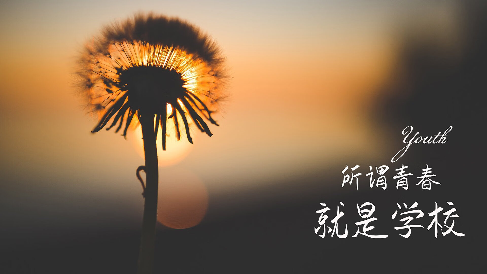北极熊与雄鹿的冰火博弈，西亚卡姆在世界舞台的加冕之战