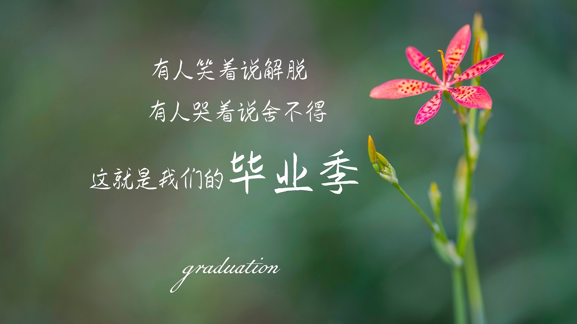 悬念与王座，2026世界杯H组生死局，墨西哥铁壁锁喉，梅西一剑封喉演绎绝地逆转