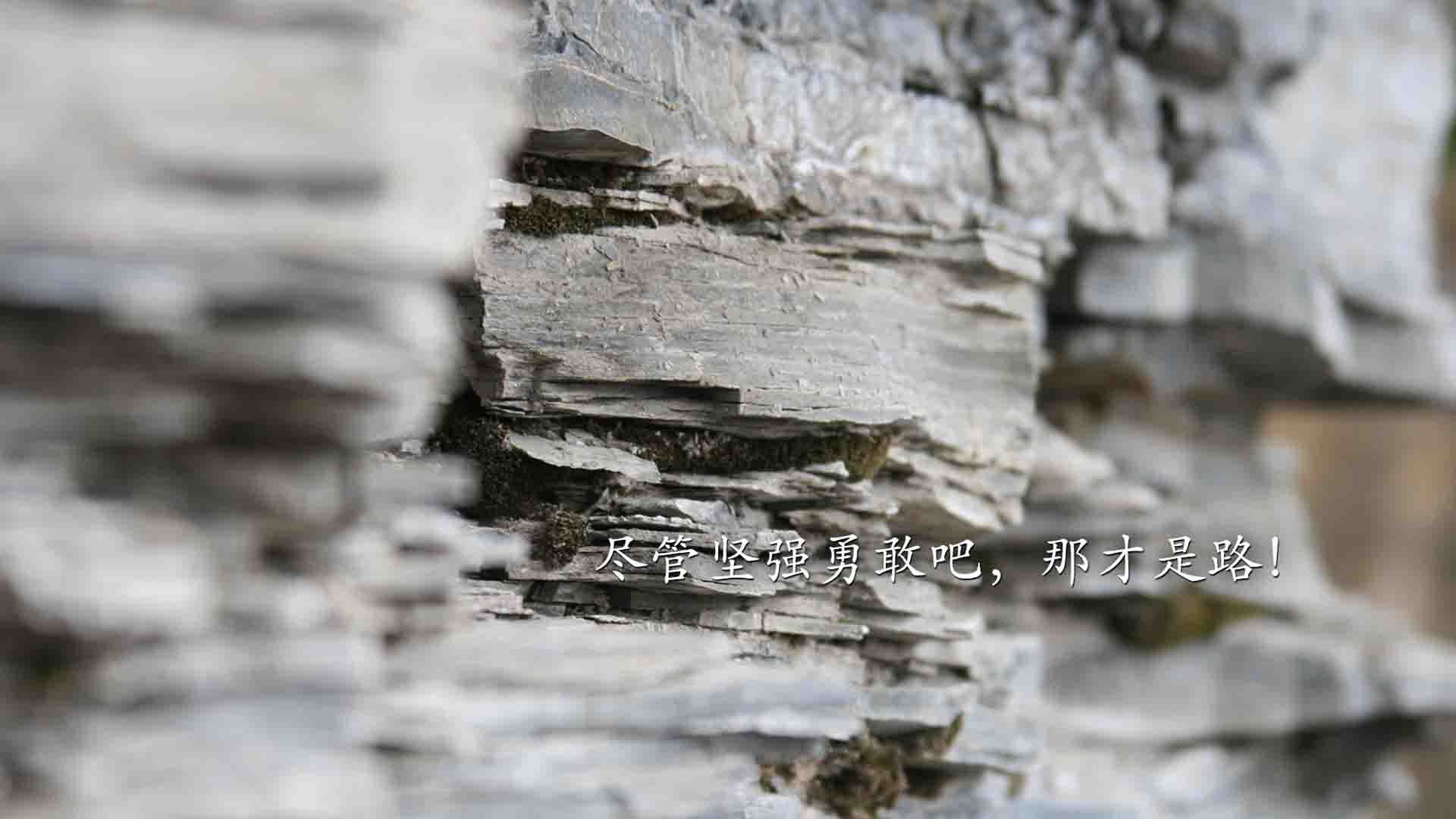 基于您的要求,我为您扩展思维,构思了以下几个贴合唯一性与关键词的文章标题