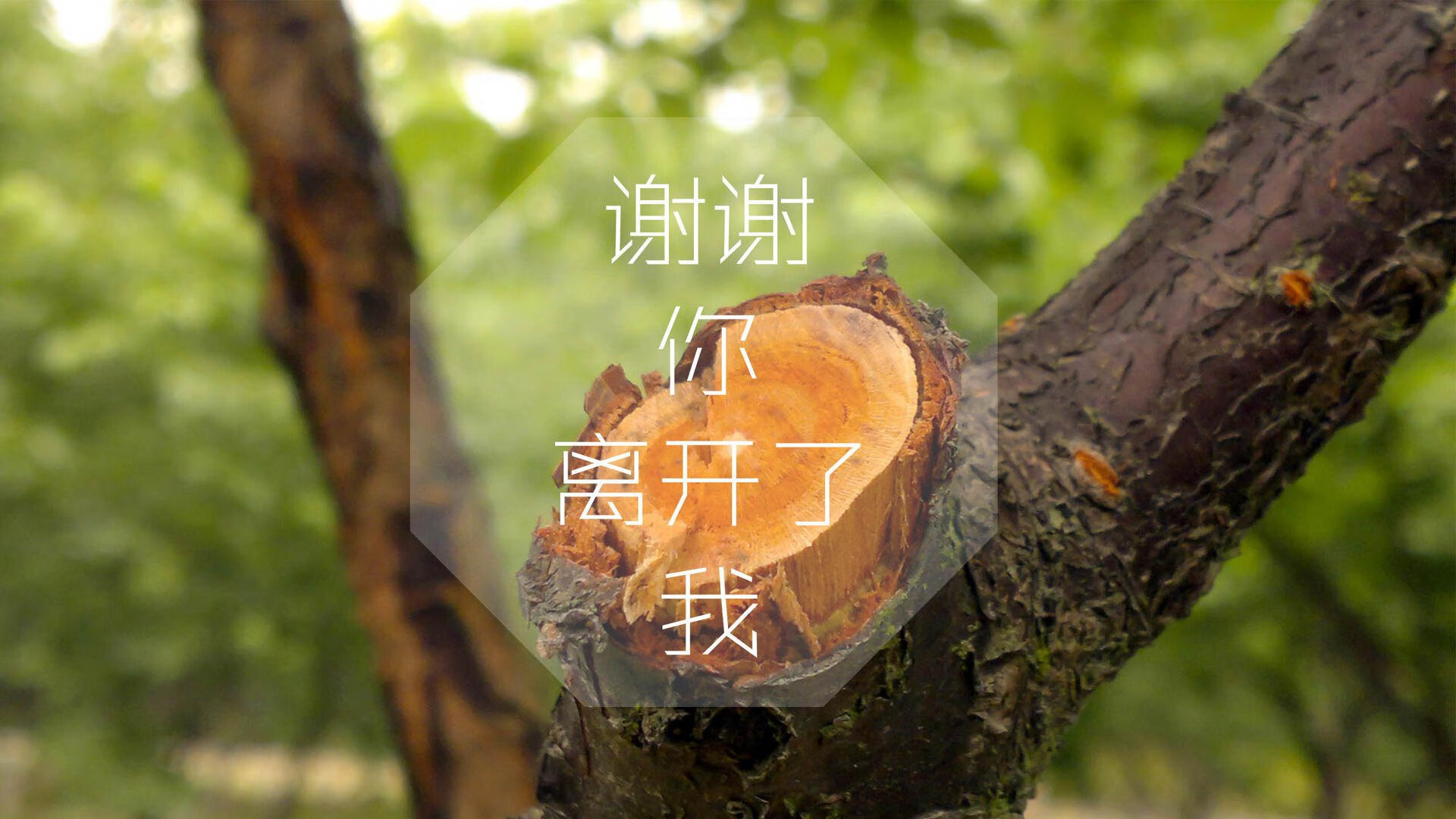 铁血战车的齿轮与天蓝军团的獠牙，京多安，2026揭幕战上的灵魂舞者