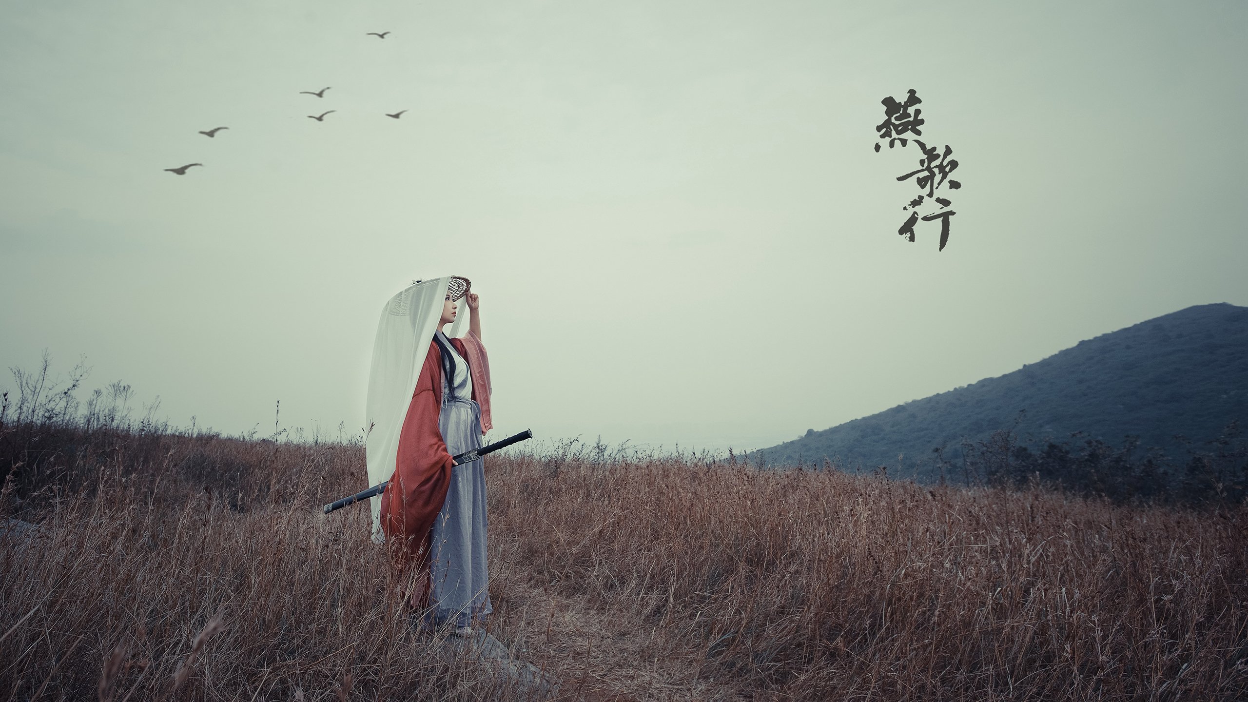 蓝白狂想曲，当伊拉克的钢铁防线遇上格列兹曼的致命优雅—2026世界杯D组窒息之战纪实