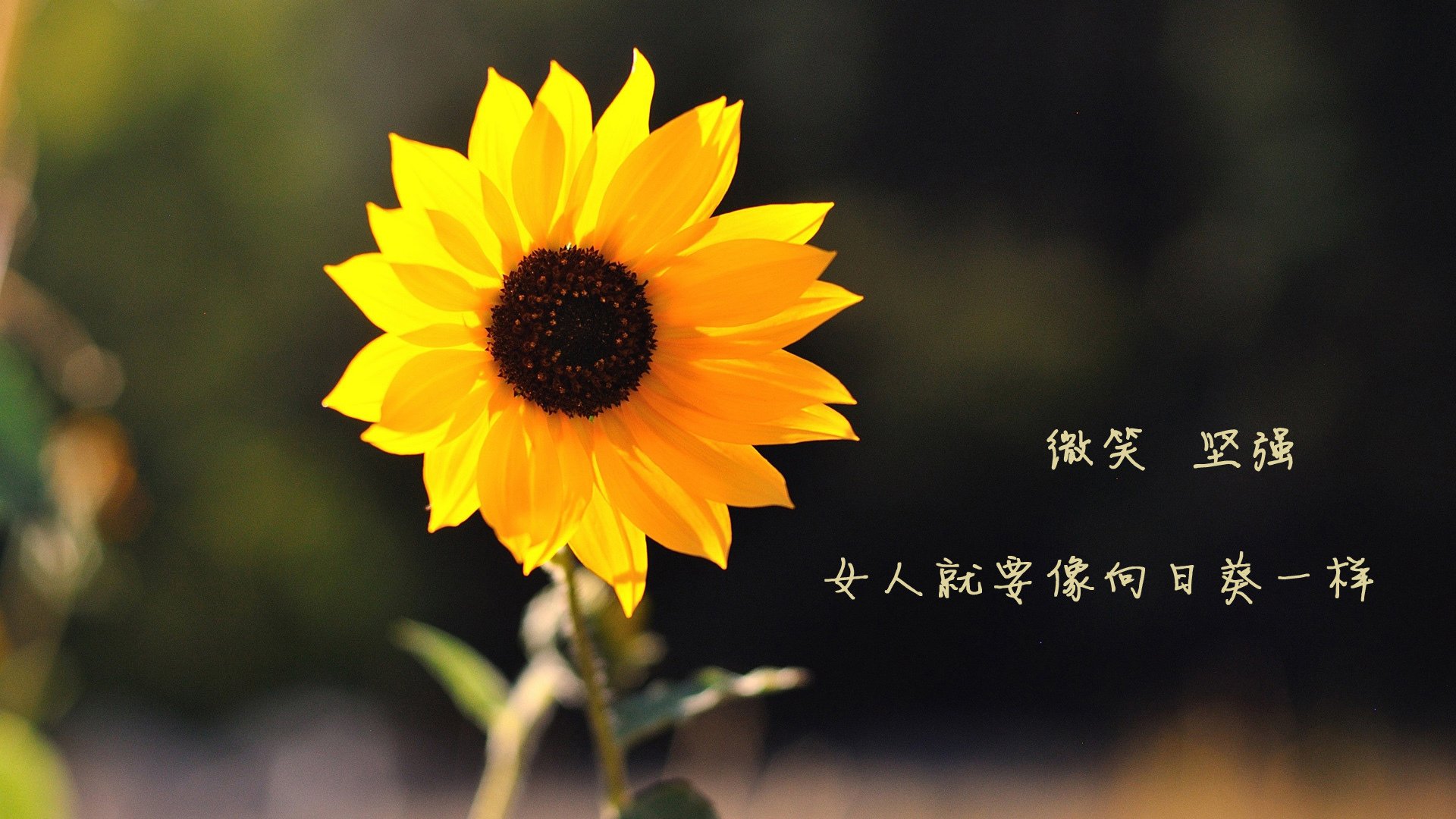 唯一的方程解,当死亡之组的哥斯达黎加,撞上凯恩的稳态霸权